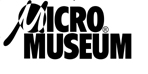 Micro Museum Logo